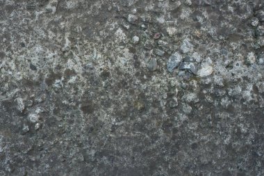 Bahçıvanlık. Eldivenli Eller Toprakla Çalışır.