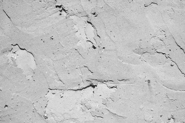 Bahçıvanlık. Eldivenli Eller Toprakla Çalışır.