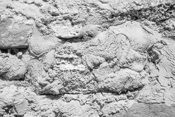 Bahçıvanlık. Eldivenli Eller Toprakla Çalışır.