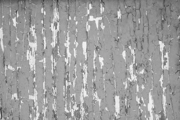 Bahçıvanlık. Eldivenli Eller Toprakla Çalışır.