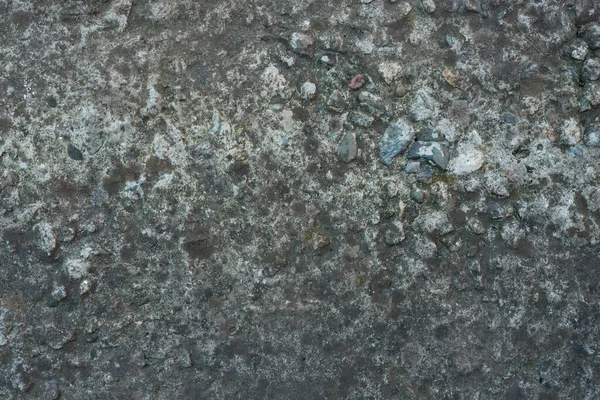 Bahçıvanlık. Eldivenli Eller Toprakla Çalışır.