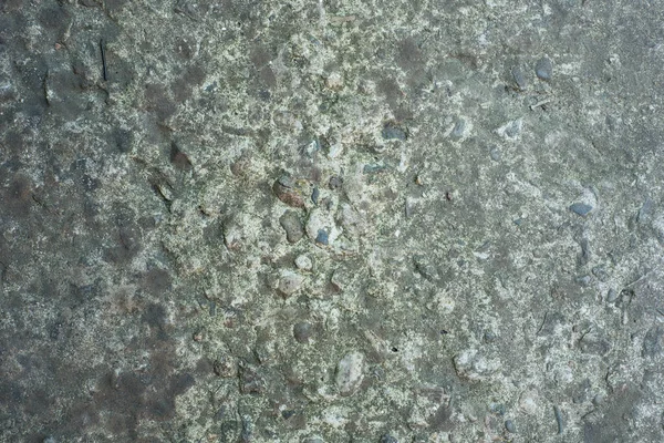 Bahçıvanlık. Eldivenli Eller Toprakla Çalışır.