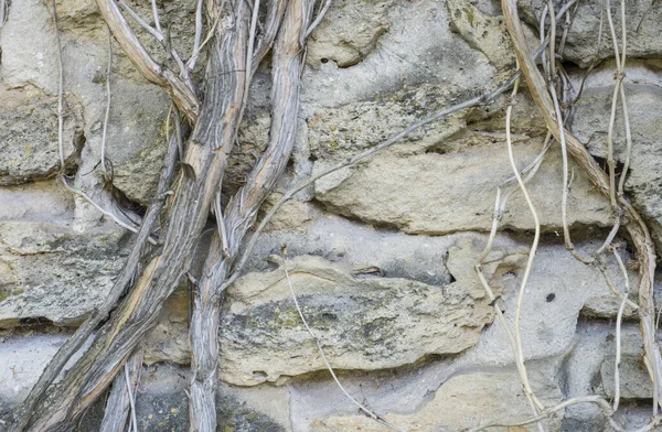 Bloklardan yapılmış modern gri beton duvarın arka plan dokusu