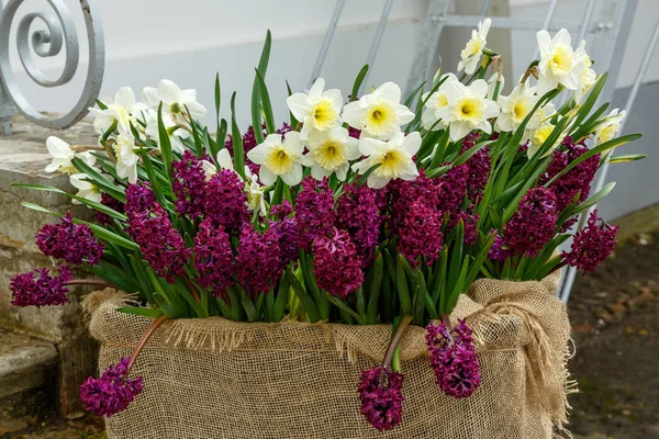 Belles Fleurs Dans Jardin — Photo