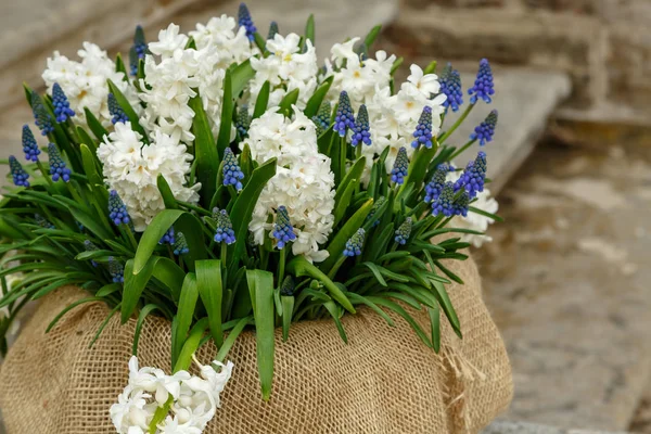 Belles Fleurs Sur Fond Bois — Photo