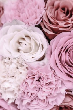 Güzel tonda güller yakın. Doğa arka planı