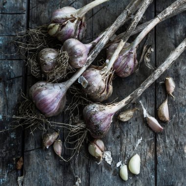 Sarımsak ampuller ve diş sarımsak 