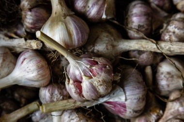 Sarımsak ampuller ve diş sarımsak 