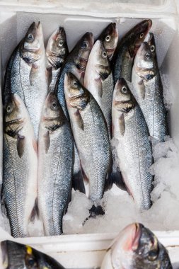 Pazarda buz üzerinde balık