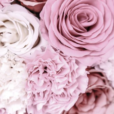 Güzel tonda güller yakın. Doğa arka planı