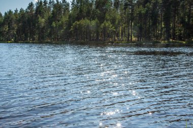 Güneş, sudaki yıldızlar şeklinde parlar. Soyut arka plan
