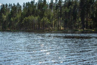 Güneş, sudaki yıldızlar şeklinde parlar. Soyut arka plan