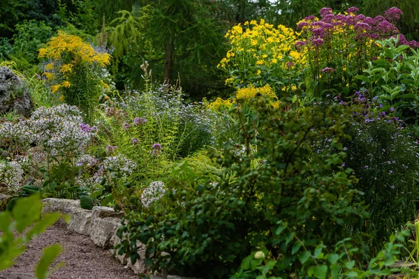 Fiori Nel Giardino Autunnale Perenni Fioriti Giardino Nel Parco — Foto Stock