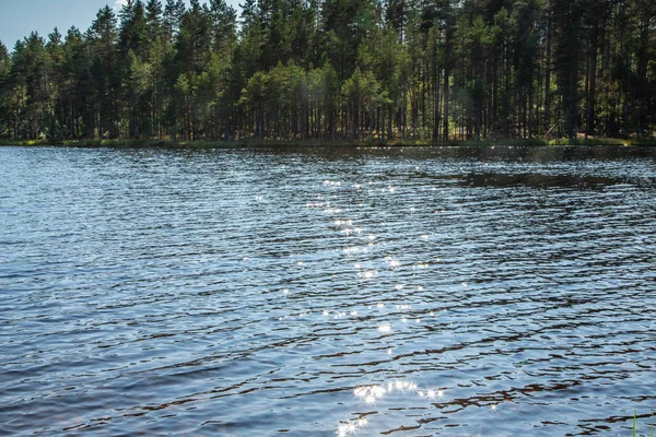 Güneş, sudaki yıldızlar şeklinde parlar. Soyut arka plan