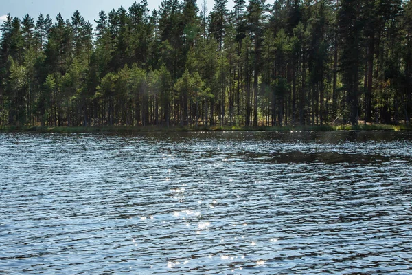 Güneş, sudaki yıldızlar şeklinde parlar. Soyut arka plan