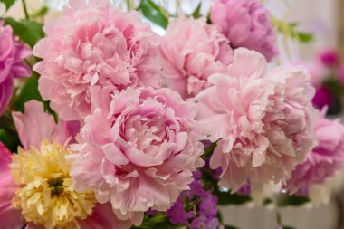 Çiçek açan narin şakayık çiçekleri şenlikli arka plan, pastel ve yumuşak buket çiçekli kart