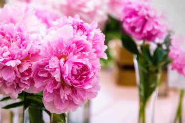 Çiçek açan narin şakayık çiçekleri şenlikli arka plan, pastel ve yumuşak buket çiçekli kart