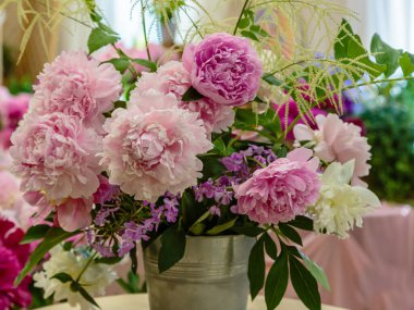 Çiçek açan narin şakayık çiçekleri şenlikli arka plan, pastel ve yumuşak buket çiçekli kart