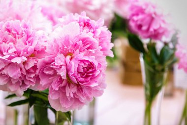 Çiçek açan narin şakayık çiçekleri şenlikli arka plan, pastel ve yumuşak buket çiçekli kart