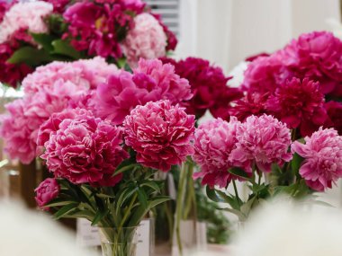 Çiçek açan narin şakayık çiçekleri şenlikli arka plan, pastel ve yumuşak buket çiçekli kart