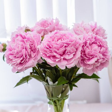 Çiçek açan narin pembe şakayık çiçekleri şenlik arka planı, pastel ve çiçek buketi kartı. 