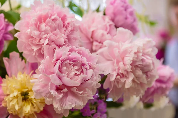 Çiçek açan narin şakayık çiçekleri şenlikli arka plan, pastel ve yumuşak buket çiçekli kart