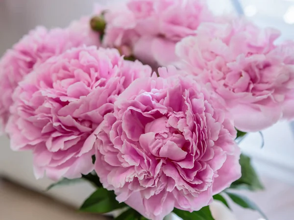 Çiçek açan narin pembe şakayık çiçekleri şenlik arka planı, pastel ve çiçek buketi kartı.