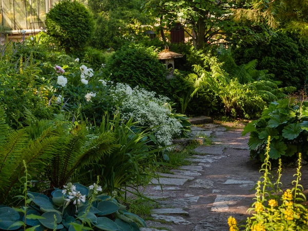 Letní Zahrada Scéna Botanické Zahradě Zelenými Kvetoucími Rostlinami — Stock fotografie