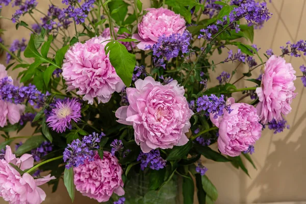 Kvetoucí Jemné Růžové Pivoňka Kvetoucí Květiny Slavnostní Pozadí Pastel Měkké — Stock fotografie
