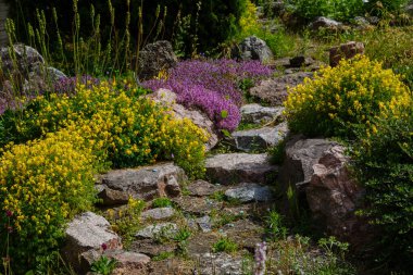 garden scene with rocks and blooming bushes clipart