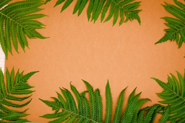 Groene Varen Bladeren Oranje Achtergrond Met Kopieerruimte — Stockfoto