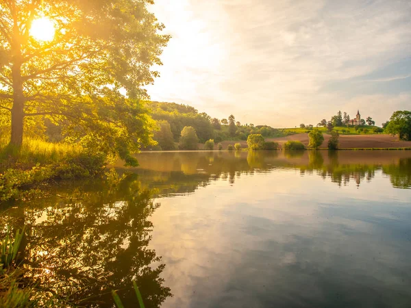 Solitary old large tree with lush green leafs on the brown spring field reflected in the water. Landscape illuminated by sun flare — Stock Photo, Image