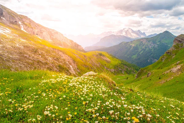 Dolomitenlandschaft Mit Grünen Wiesen Blauem Himmel Weißen Wolken Und Felsigen — Stockfoto