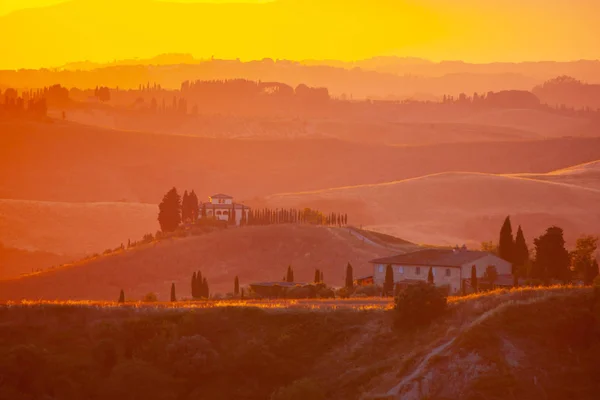 Evening Tuscany Hilly Tuscan Landscape Golden Mood Sunset Time Silhouettes — Stock Photo, Image