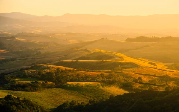 Evening in Tuscany. Hilly Tuscan landscape in golden mood at sunset time with silhouettes of cypresses and farm houses near Montaione, Italy — Stock Photo, Image
