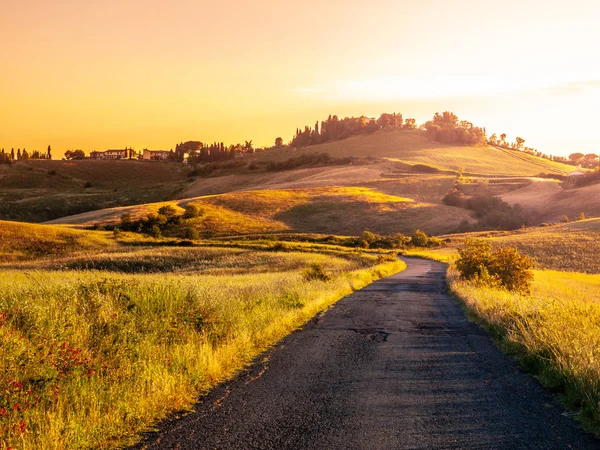 Evening landscape of Tuscany with curvy aspalt road, Italy — Stock Photo, Image