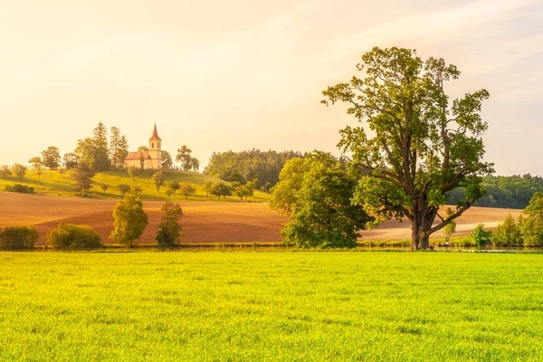 Небольшая церковь посреди пышного весеннего пейзажа в солнечный день. Церковь Св. Петра и Павла в Бишицки, недалеко от Лазне Белоград, Чехия — стоковое фото