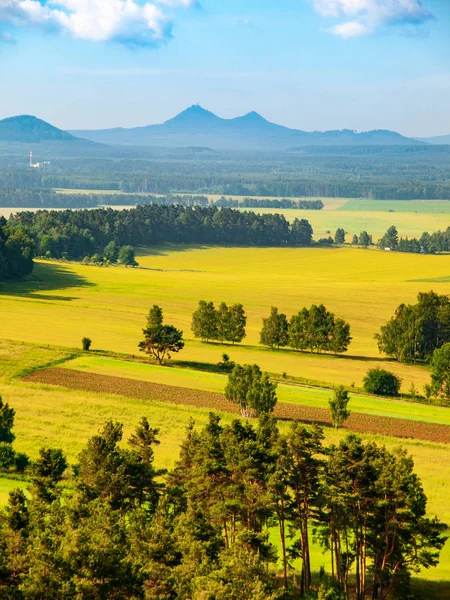 Krajina kolem hradu Bezděz na slunečný letní den. Česká republika — Stock fotografie