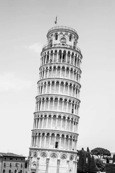 イタリア、トスカーナ、ピサの斜塔、ピサの斜塔 o 大聖堂広場 — ストック写真