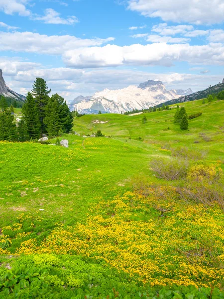 Paysage de Dolomites avec prairies vertes, ciel bleu, nuages blancs et montagnes rocheuses — Photo