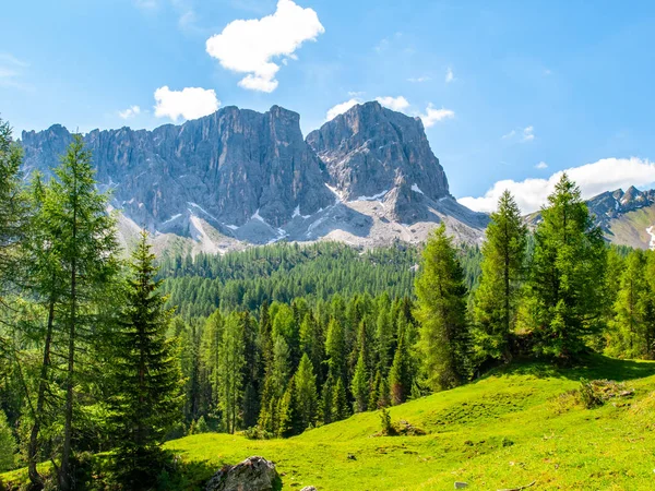 Formin de Lastoni, aka Ponta Lastoi de formulářiv aplikaci. Obří hora blok s zelenou louku, stromy a letní oblohy, Dolomity, Itálie — Stock fotografie