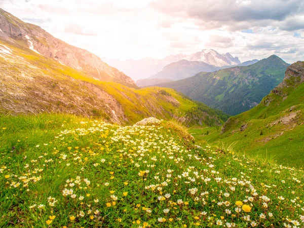 Krajobraz Dolomitów z zielonymi łąkami, Błękitne niebo, białe chmury i Gór Skalistych — Zdjęcie stockowe