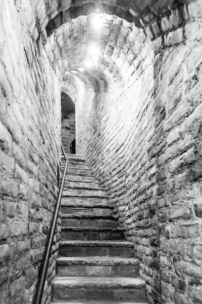 Narrow staircase in old cellar with brick walls — Stock Photo, Image