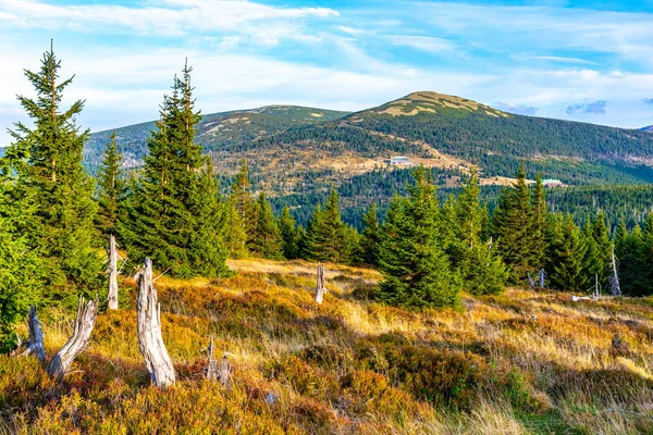 Paysage forestier vert avec Maly Sisak Montagne et cabanes de montagne, Montagnes géantes, Krkonose, République tchèque — Photo