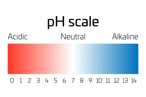 Шкала pH. Індикатор значень pH, що виражає швидкість кислотності або базовості в хімії — стоковий вектор