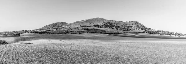 Rana hora u Loun ve středohoří slunečného letního dne, Česká republika. Panoramatický pohled — Stock fotografie