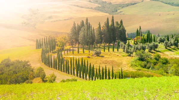Evening in Tuscany. Hilly Tuscan landscape with cypress trees alley and farm house, Italy — Stock Photo, Image
