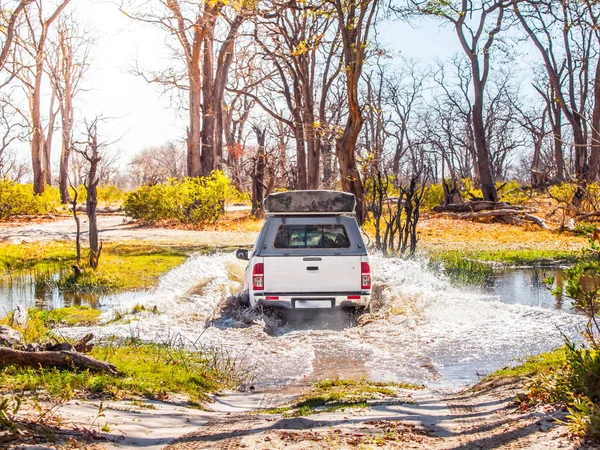 Off-road car fording water on safari wild drive in Chobe National Park, Botswana, África — Fotografia de Stock