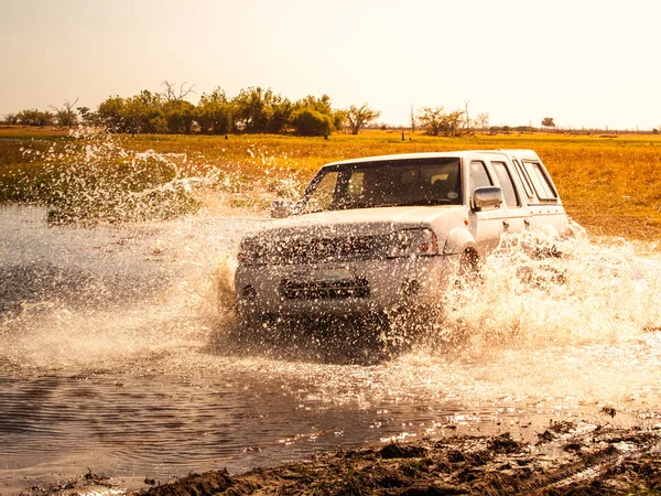 Off-road car fording water on safari wild drive in Chobe National Park, Botswana, África — Fotografia de Stock