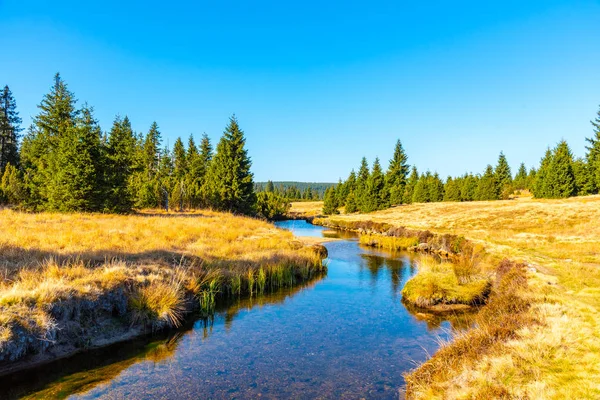 Kleine berg creek meanderende in het midden van de weilanden en bossen. Zonnige dag met blauwe lucht en witte wolken in bergen Jizerské Hory, Noord Bohemen, Tsjechië. — Stockfoto